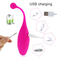 Panties Wireless Remote Control Vibrator Vibrating Eggs Wearable Balls Vibrator G Spot Clitoris Massager Adult Sex toy for Women