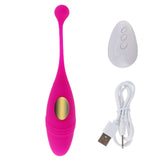 Panties Wireless Remote Control Vibrator Vibrating Eggs Wearable Balls Vibrator G Spot Clitoris Massager Adult Sex toy for Women